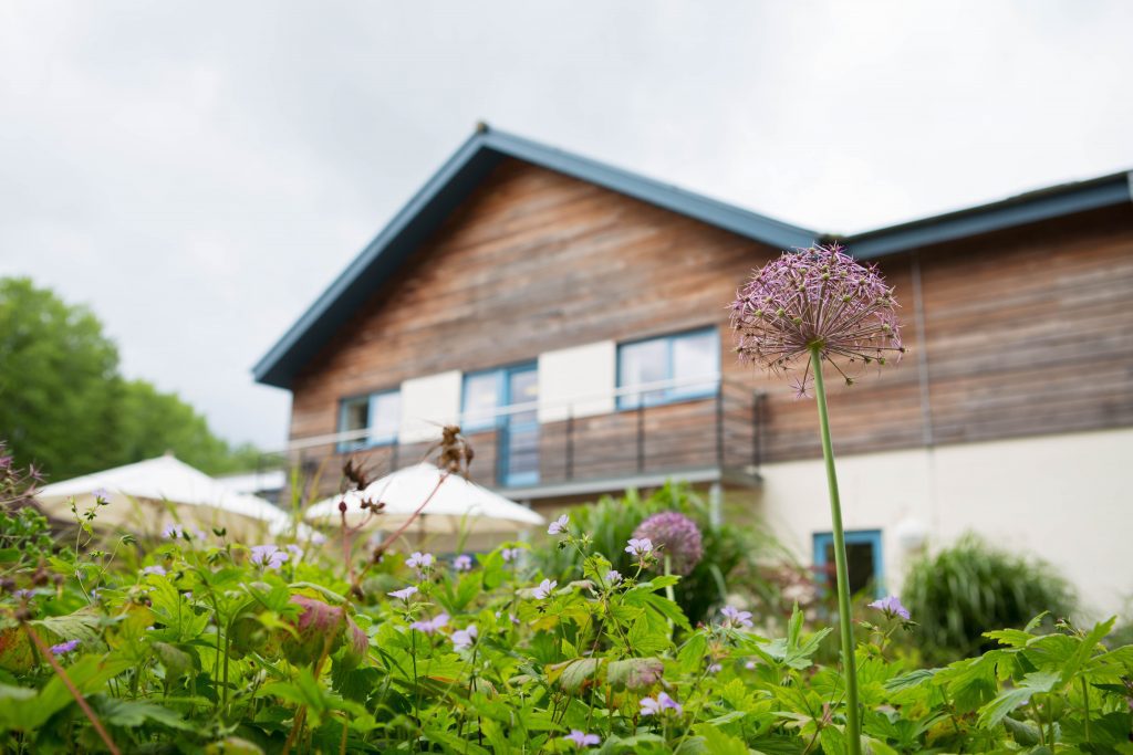 Image through the garden to the rear of the hospice