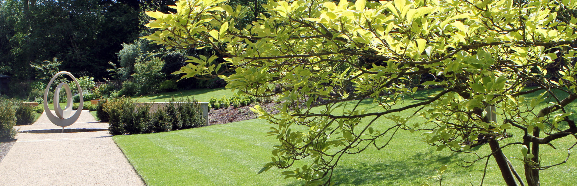 Longfield Hospice's garden with a focal tree