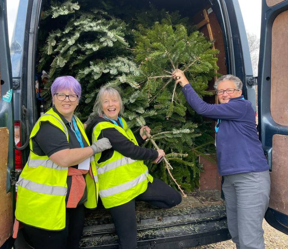 Christmas tree recycling scheme breaks fundraising record