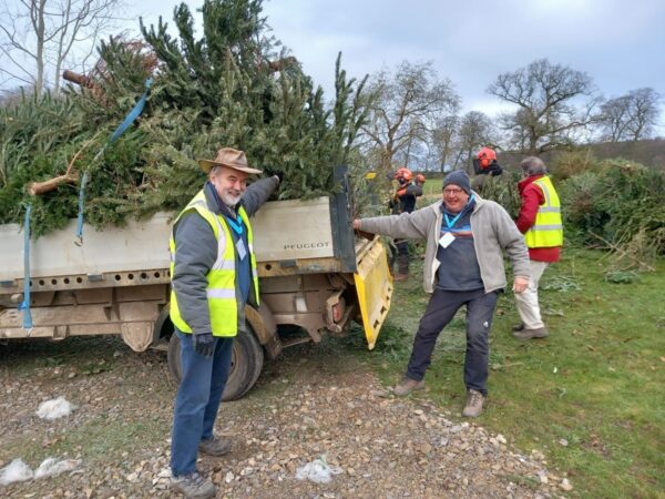 Christmas Tree Recycling 2024/ 2025