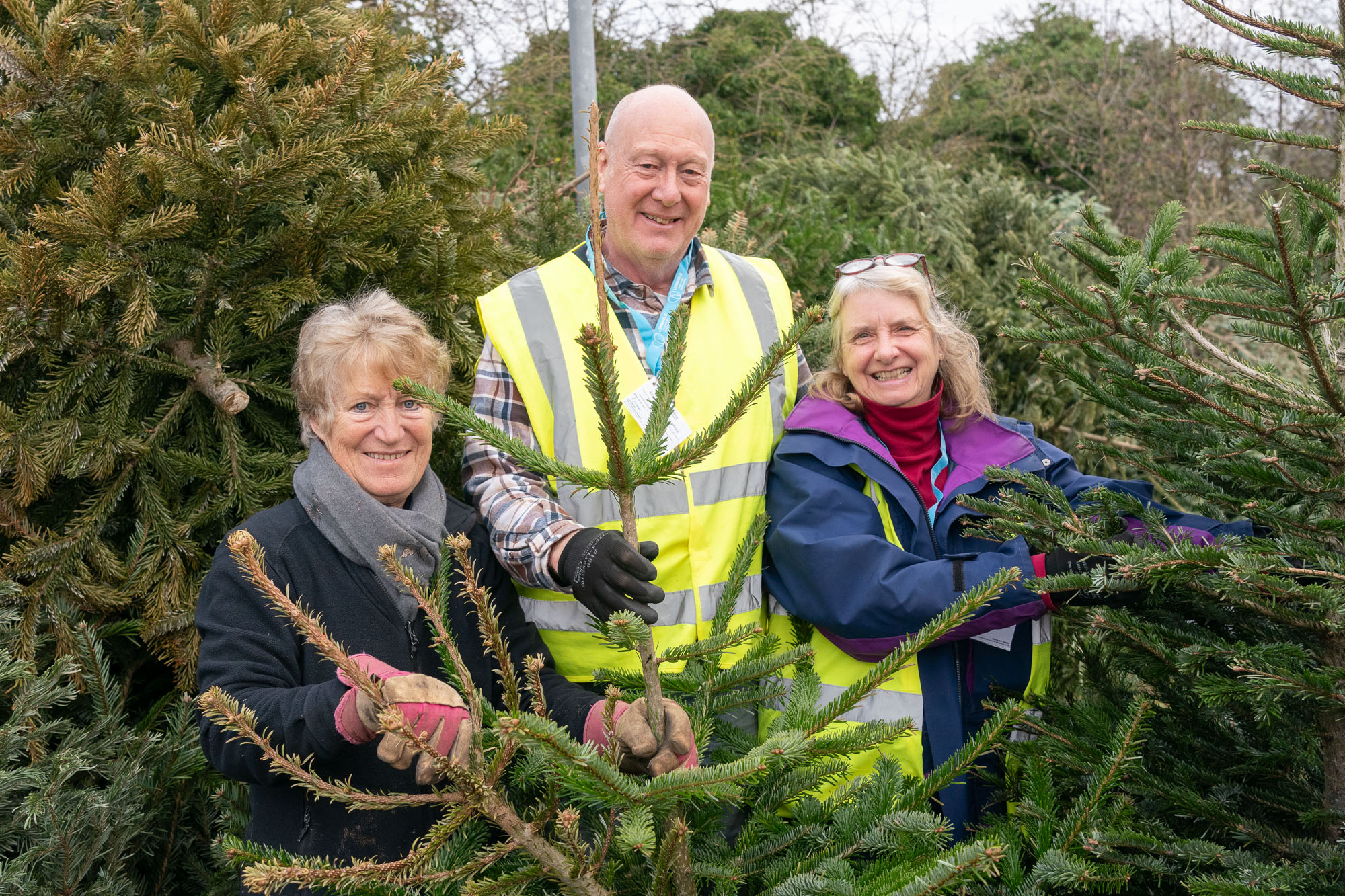 Longfield Delighted as Christmas Tree Recycling  Raises £82,239